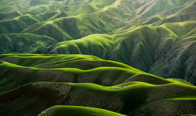 Body Grassland in Yili, Xinjiang, China by 